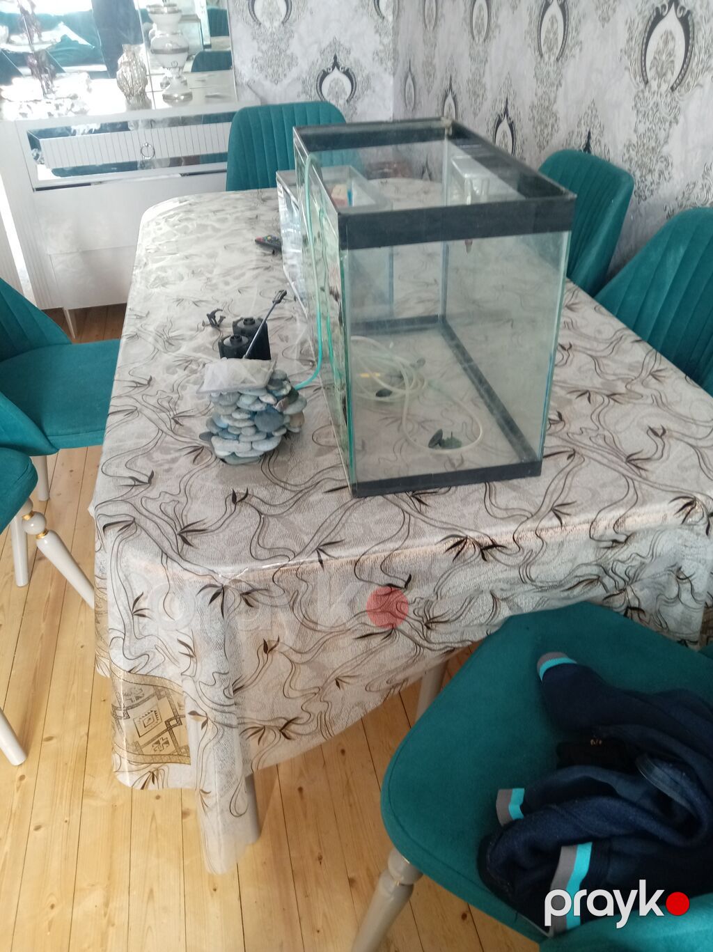 Akvarium dəsti - 2 ədəd şüşə akvarium: biri böyük, biri kiçik (hər — Akvariumlar və balıqlar, Sumqayıt (3)