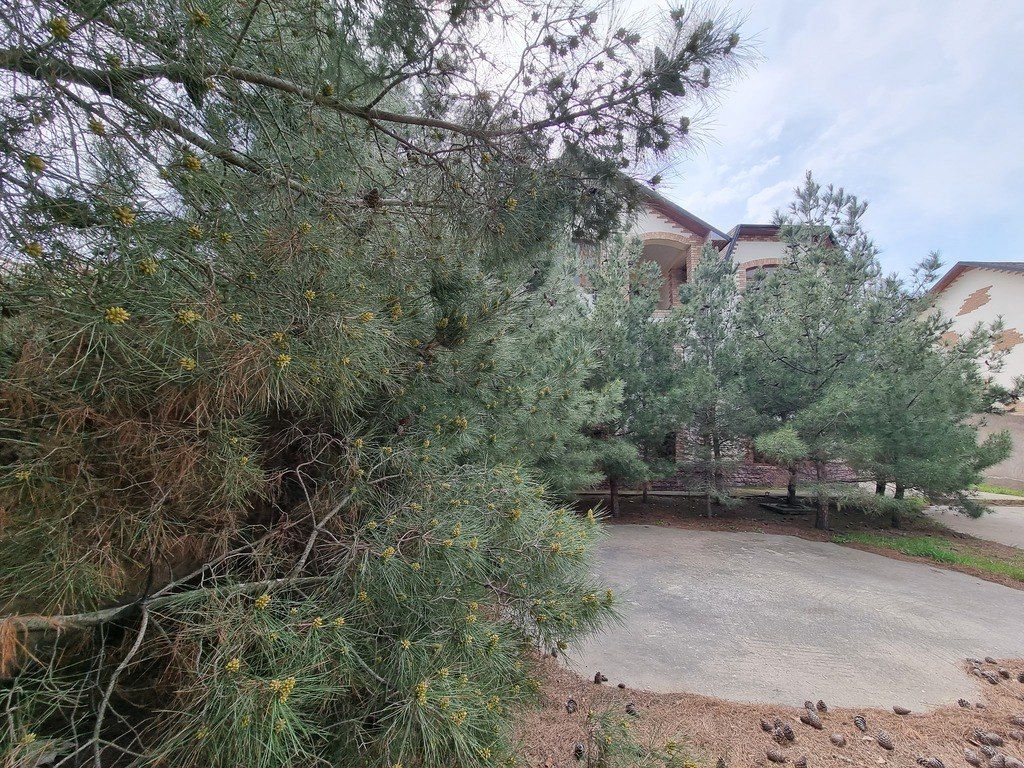 Satılır həyət evi/bağ evi 450 m² — Ev, villa, Bakı (8)