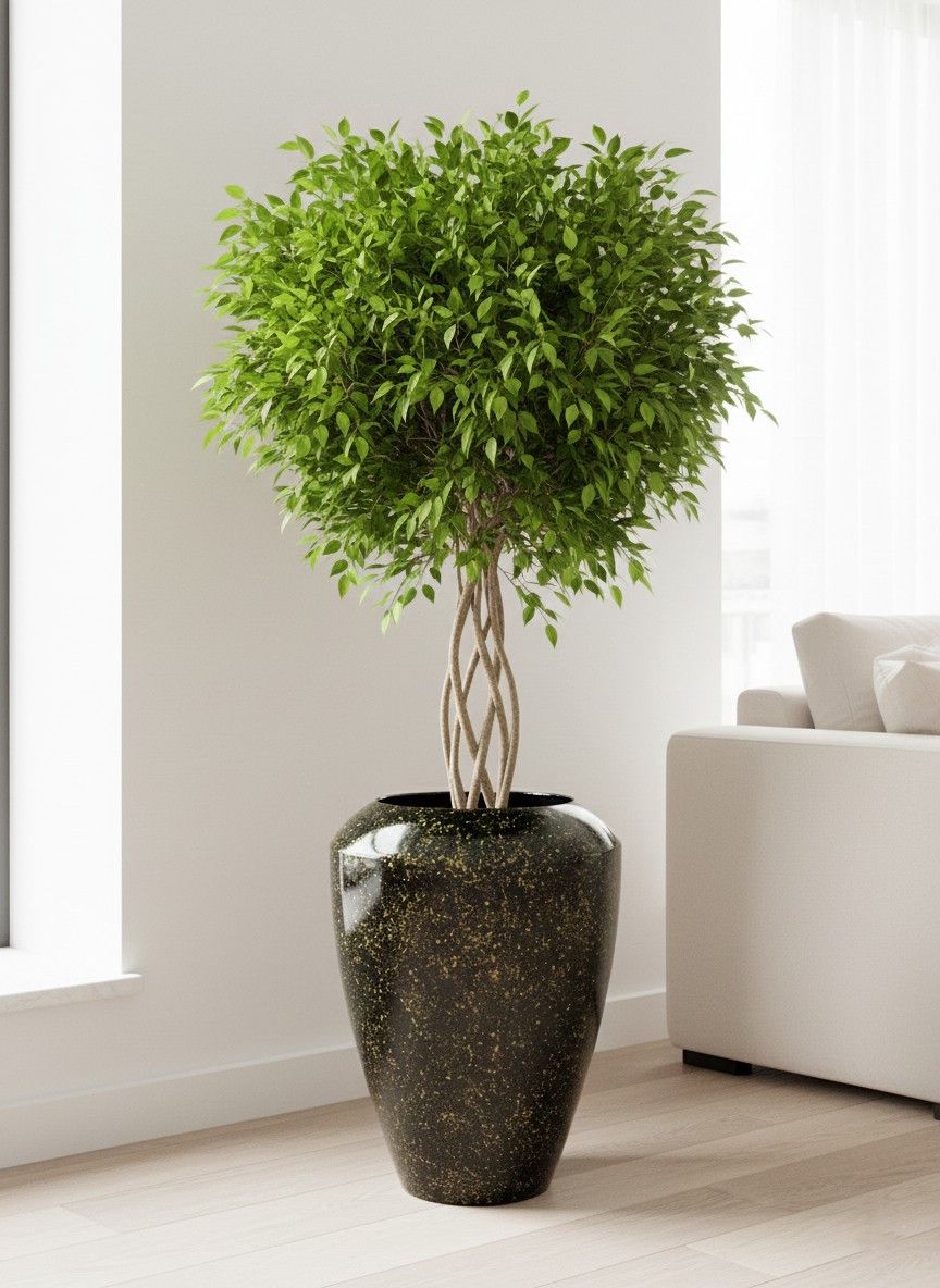 Fiberglass dibçək misir 68.3.0 — Mallar, Bakı (3)