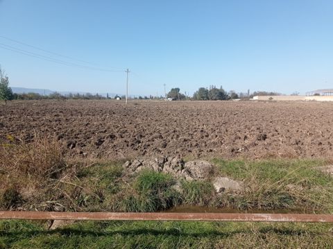 Satılır torpaq 27 sot — Gəncə