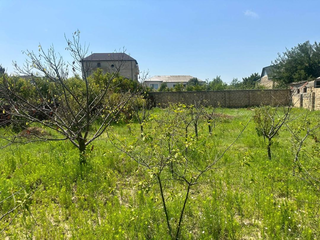 2.5 sot torpaq sahəsi, Novxanı bağları — Torpaq, Bakı (4)