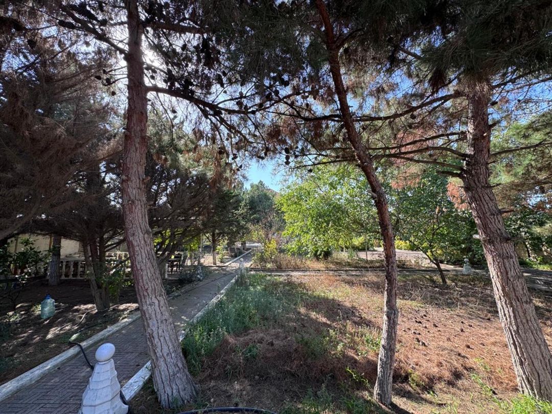 Satılır 10 otaqlı həyət evi/bağ evi 600 m² — Ev, villa, Bakı (8)
