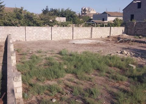17 sot, Tikinti, Mülkiyyətçi, Kupça (Çıxarış) — Digah