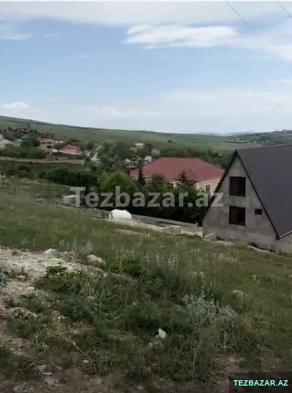 Şamaxıda Torpaq — Torpaq, Şamaxı (8)