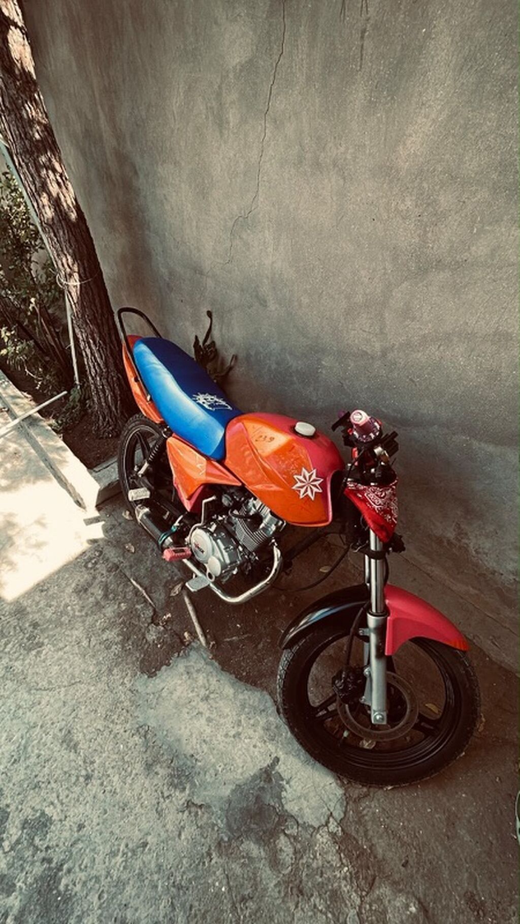 Kafe-reyster üslubunda fərdiləşdirilmiş motosiklet - Sinif: yüngül 27-UX-488 — Motosikletlər, Digah (4)