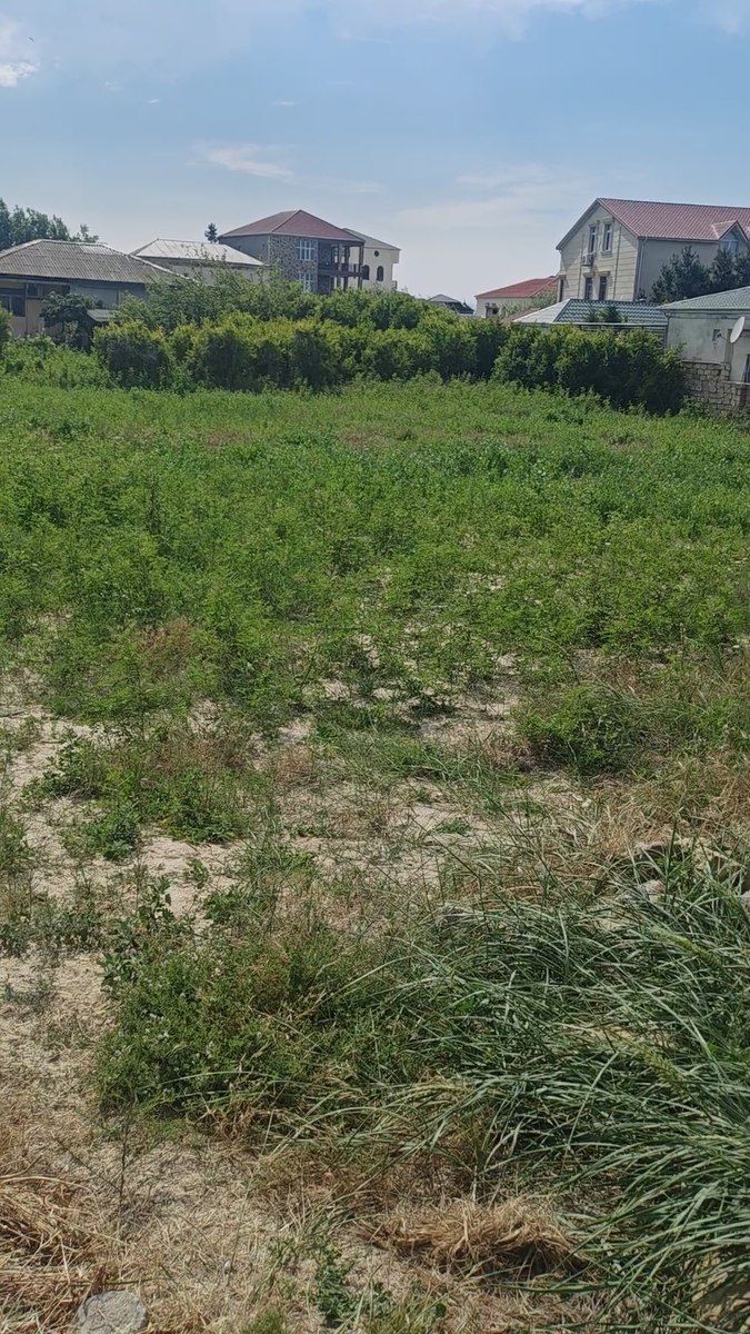 Satılır torpaq 12 sot — Torpaq, Bakı (3)