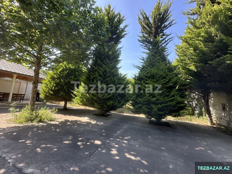 Buzovnada Villa — Ev, villa, Bakı (4)