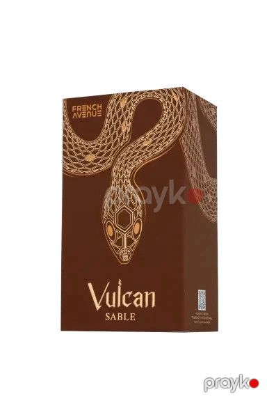 Fragrance World Vulcan Sable ətir suyu kişilər üçün, 100 ml — Mallar, Bakı (2)