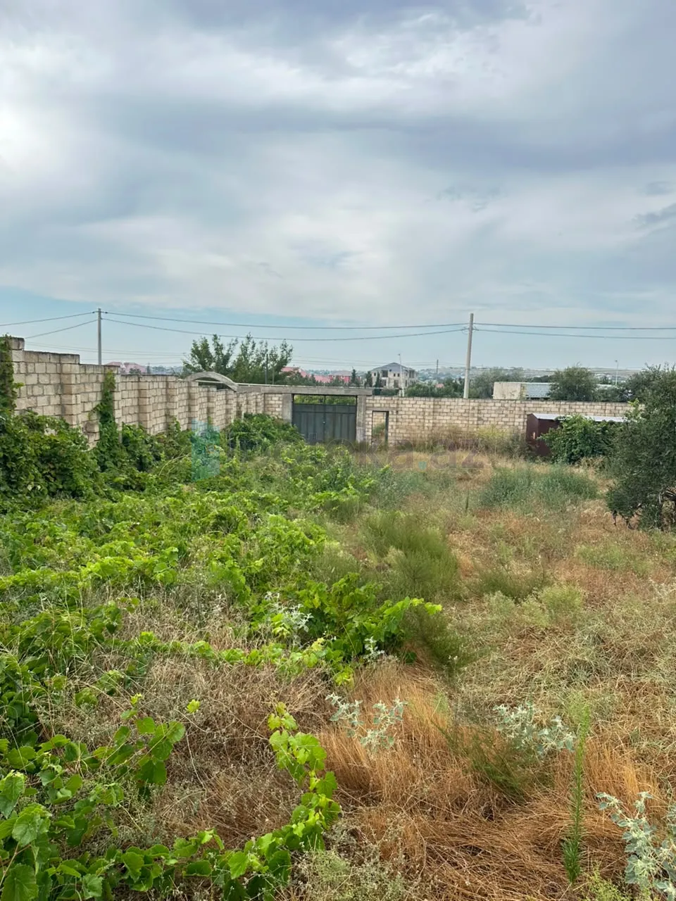 Satılır: Torpaq, Abşeron r., Saray q., 10.00 sot — Torpaq, Saray (7)