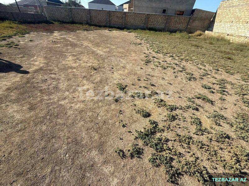 savalanda qcagan kafesinde torpaq satilir — Torpaq, Bakı (4)
