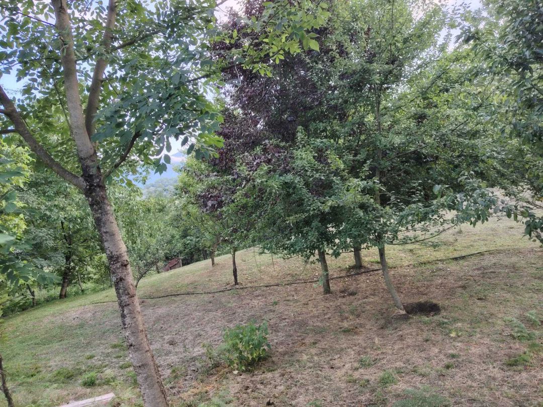 Satılır torpaq 4 sot — Torpaq, Lerik (6)