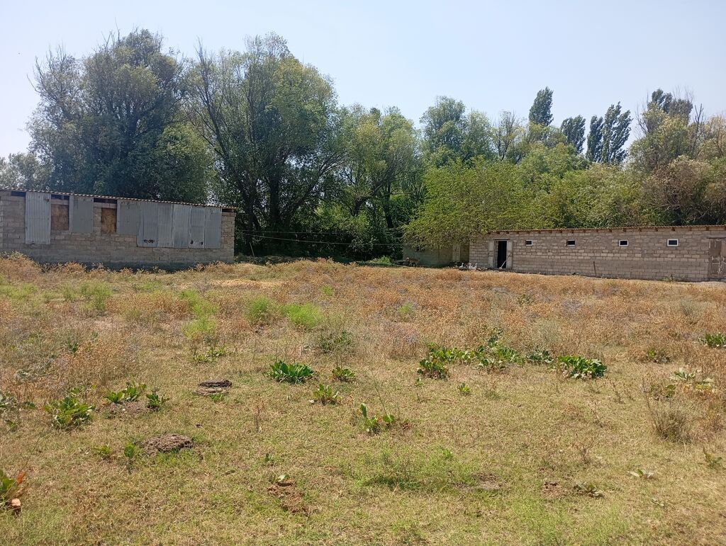 Kənd təsərrüfatı, Kommunal xətlər qoşulmayıb — Torpaq, Şabran (2)