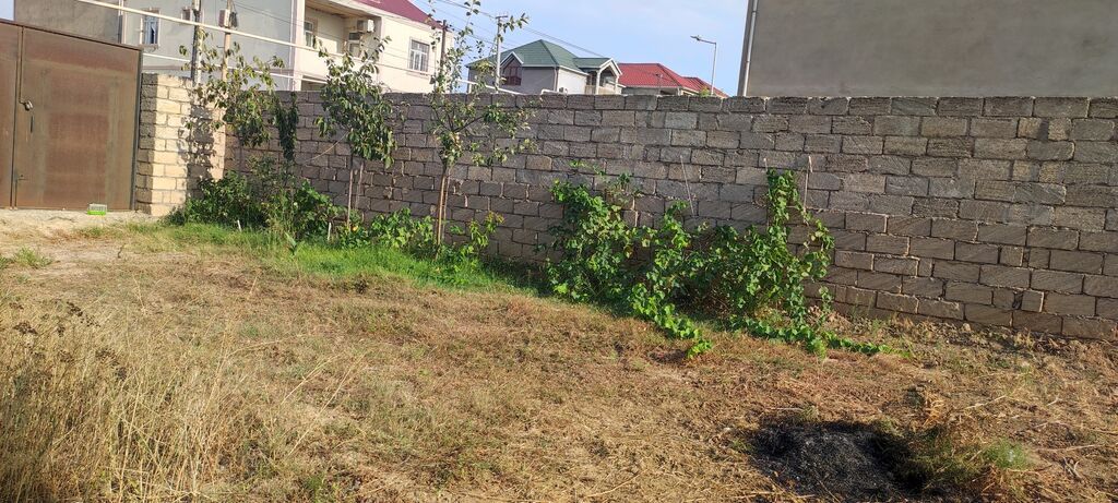 2 sot, Tikinti, Mülkiyyətçi, Kupça (Çıxarış) — Torpaq, Digah (6)