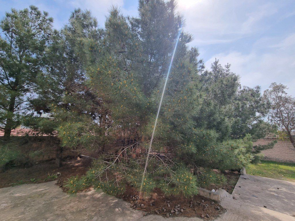 Satılır həyət evi/bağ evi 450 m² — Ev, villa, Bakı (10)
