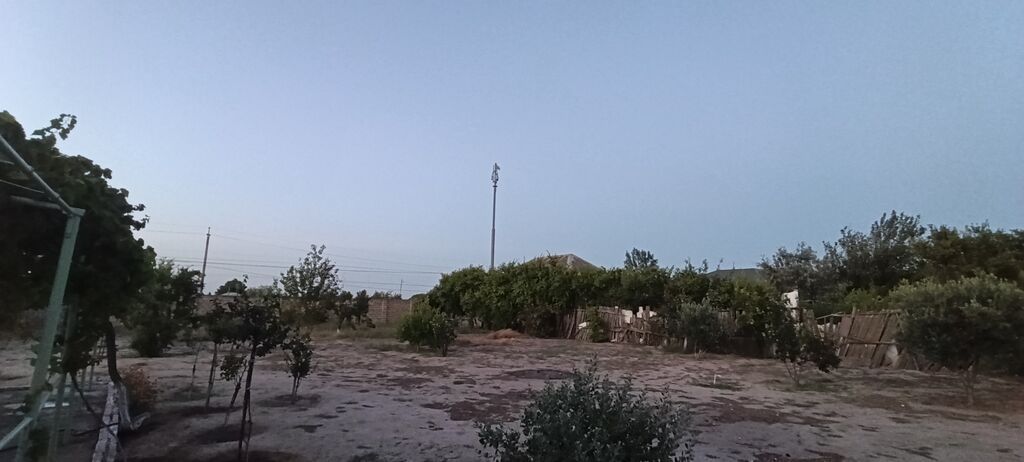 10 sot, Tikinti, Maklerlər narahat etməsin, Kupça (Çıxarış) — Torpaq, Sumqayıt (4)