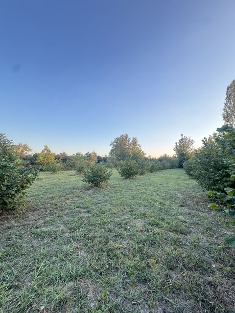 Satılır torpaq 22 sot — Qəbələ