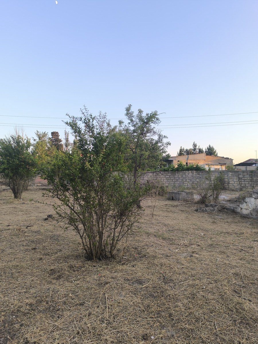 Satılır torpaq 3 sot — Torpaq, Bakı (3)