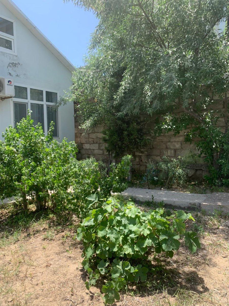 Bağ evi kirayə verilir, Mərdəkan qəs — Ev, villa, Bakı (9)