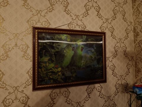 3D Stereo Çərçivəli Tablo, Panno 40x55 Çox maraqlı və gözəl dizayna — Xırdalan