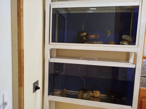 Dördbucaq akvarium, Balıqlarla birlikdə, 65 l — Digah