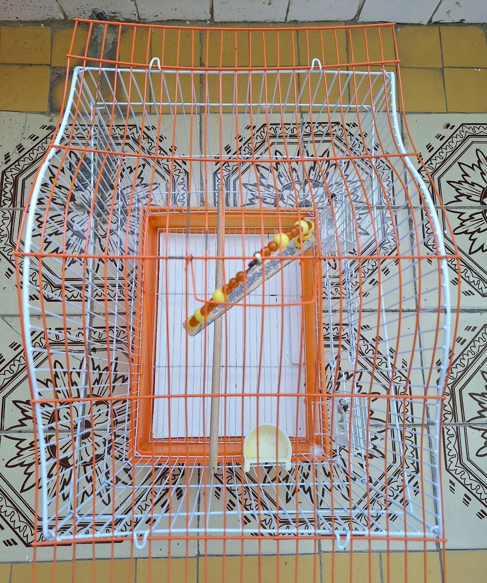 Tutuquşu qəfəsi — Heyvan malları, Bakı (2)