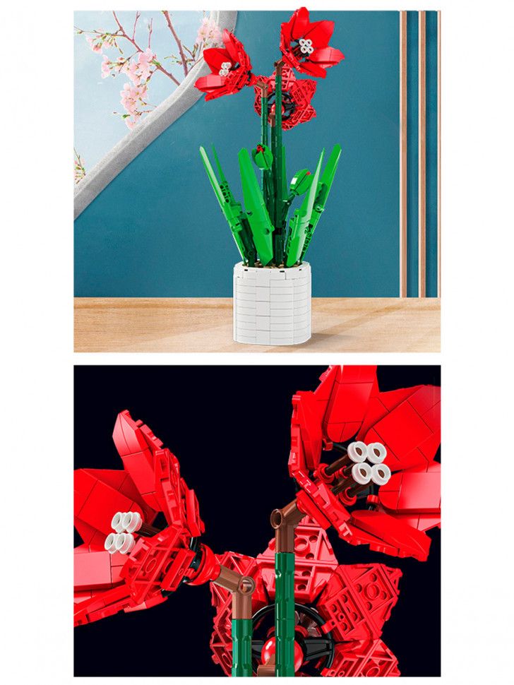 Bir qabda Zuanma Konstruktor Çiçəkləri: Amaryllis — Mallar, Bakı (3)