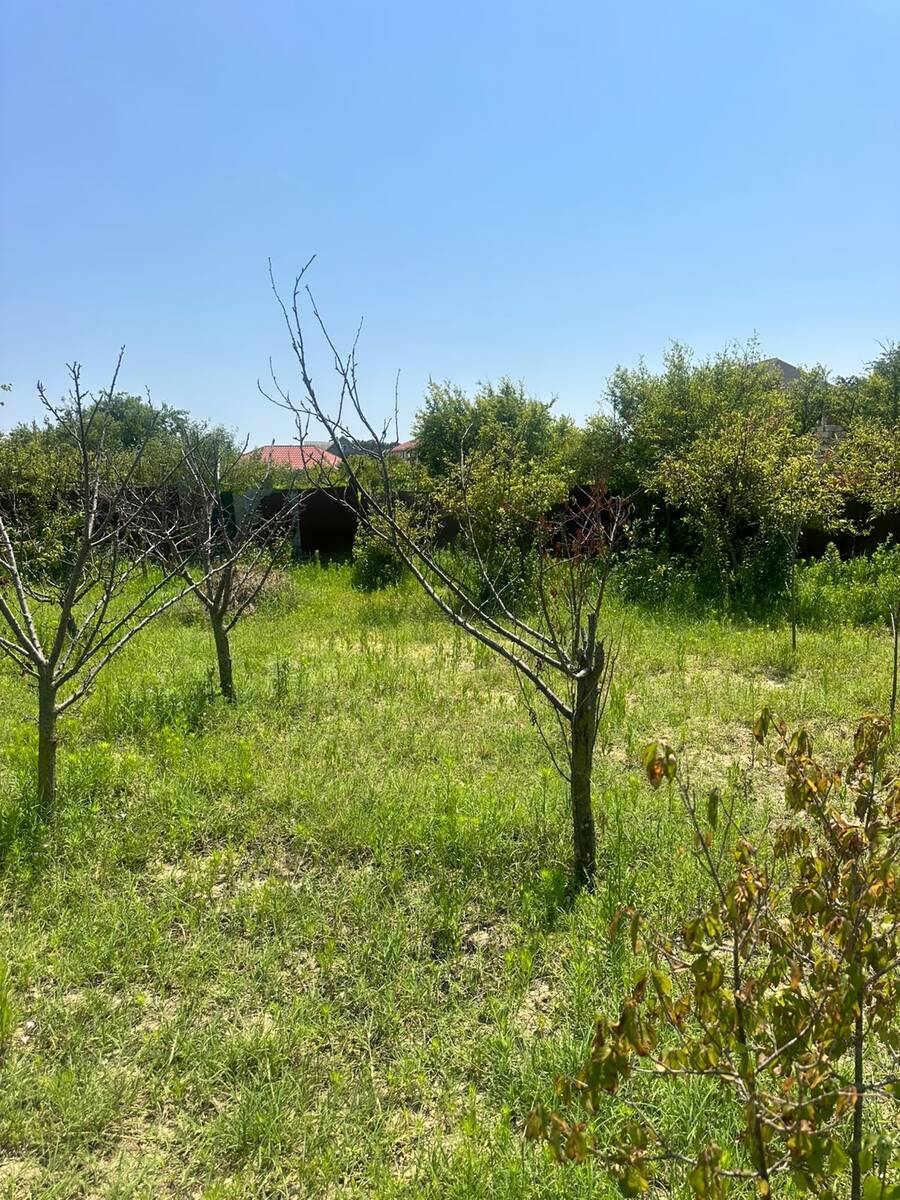 2.5 sot torpaq sahəsi, Novxanı bağları — Torpaq, Bakı (8)