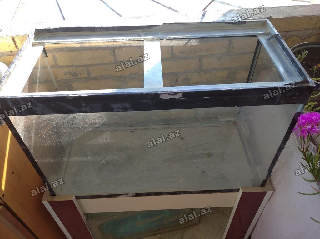Dördbucaq akvarium, Boş, 90 l, Ünvandan götürmə — Heyvanlar, Bakı (3)
