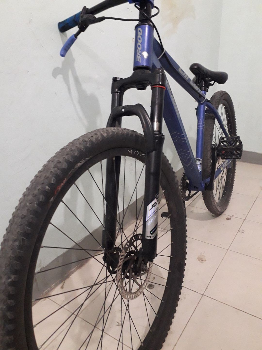 Velosiped Goose — Velosipedlər, Bakı