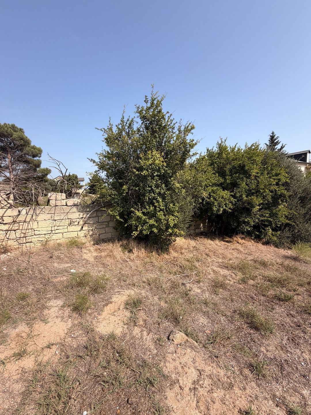Satılır torpaq 12 sot — Torpaq, Bakı (6)