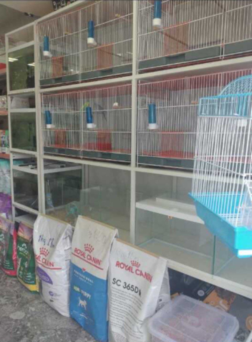 Satılır obyekt 25 m² — Əmlak, Bakı (5)