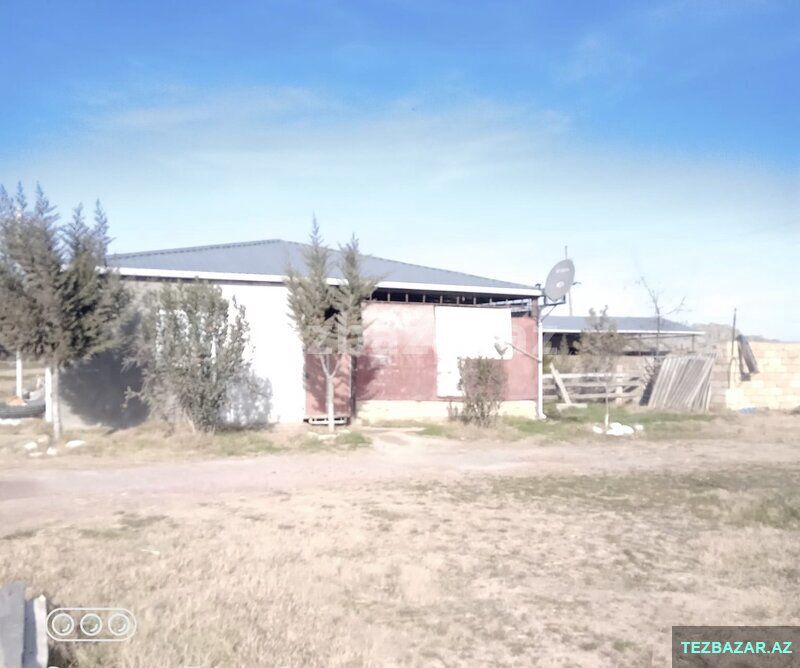 Salyanda Ferma Satılır — Torpaq, Salyan (2)