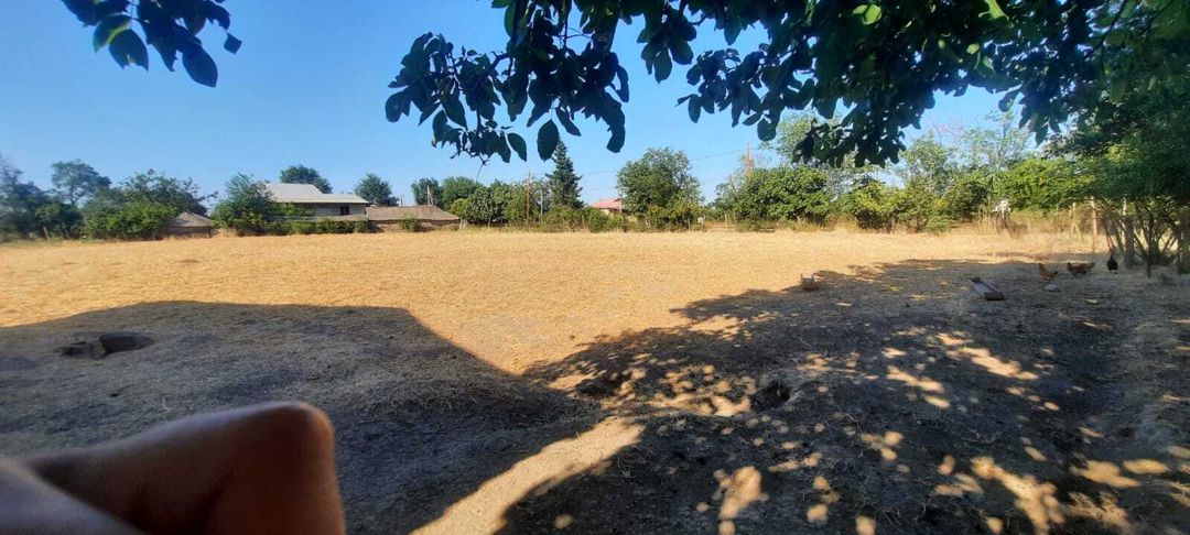 Satılır torpaq 51 sot — Torpaq, Cəlilabad (3)