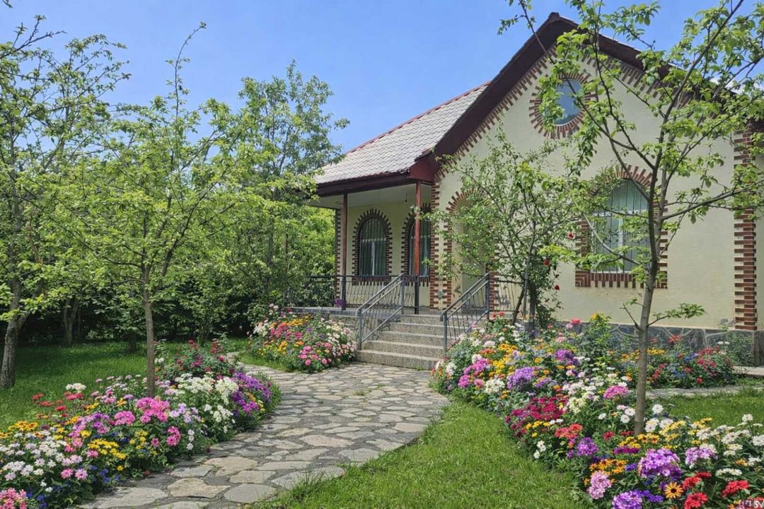 Həyət evi kirayə verilir, Qəbələ ş — Ev, villa, Qəbələ