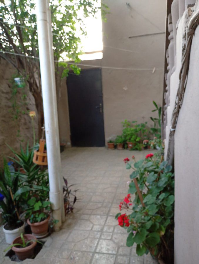 Bağ evi, 125 m², Zığ qəsəbəsi., Bakı — Daşınmaz əmlak, Bakı (9)