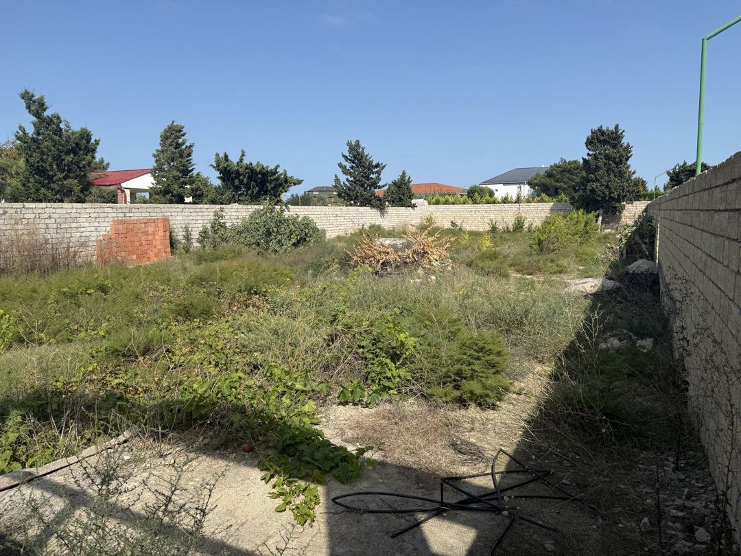 Satılır torpaq 11 sot — Torpaq, Bakı (2)