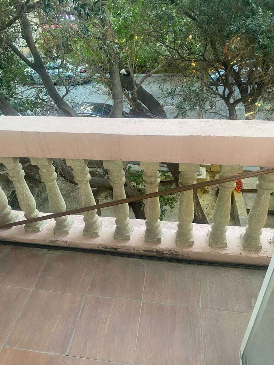 Satılır 2 otaqlı köhnə tikili 55.2 m² — Mənzil, Bakı (5)