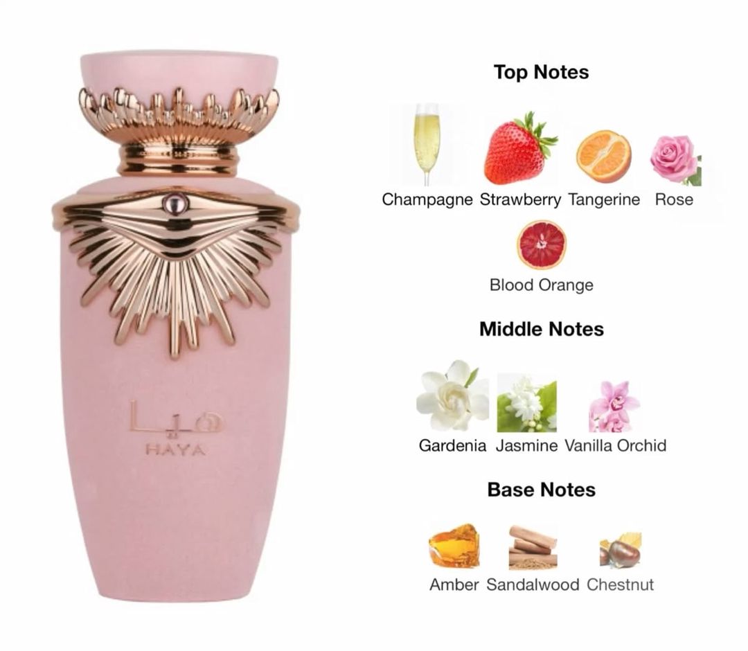 Only You Collection NO.B168 qadınlar üçün ətir suyu 30 ml — Mallar, Bakı (2)