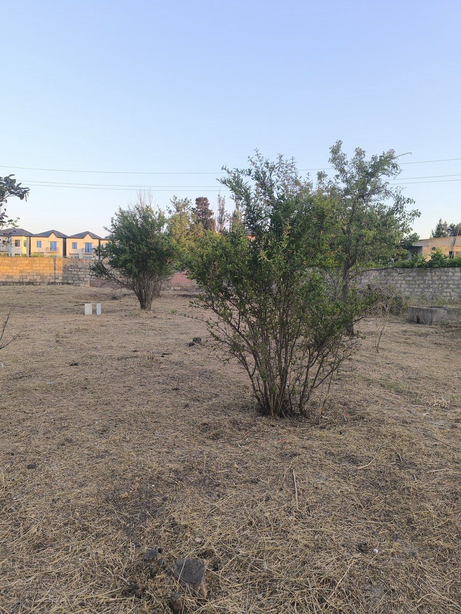 Satılır torpaq 3 sot — Torpaq, Bakı (2)