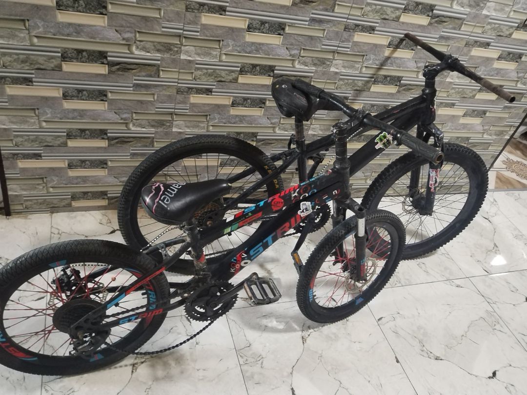 Velosipedlər — Velosipedlər, Bakı