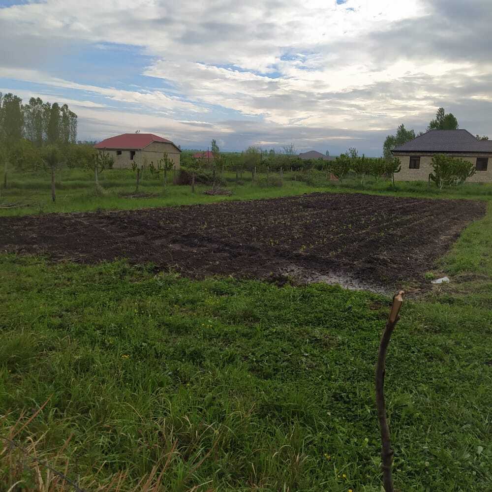 12 sot torpaq sahəsi, Qusar r — Torpaq, Qusar (2)