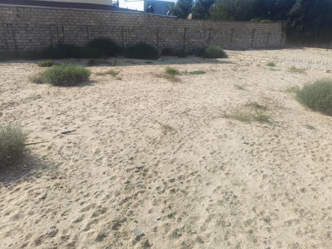 Satılır torpaq 3 sot — Bakı