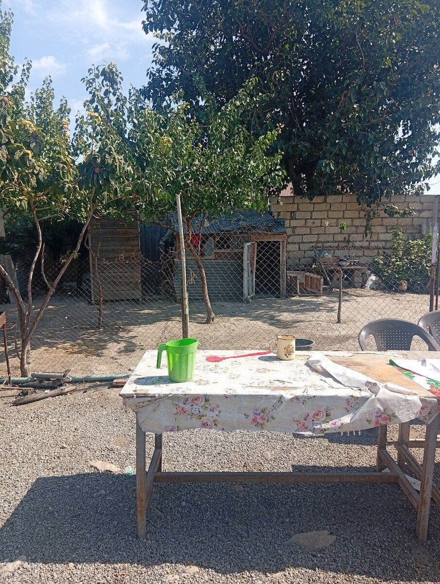 Həyət evi, Bərdə r — Ev, villa, Bərdə (12)