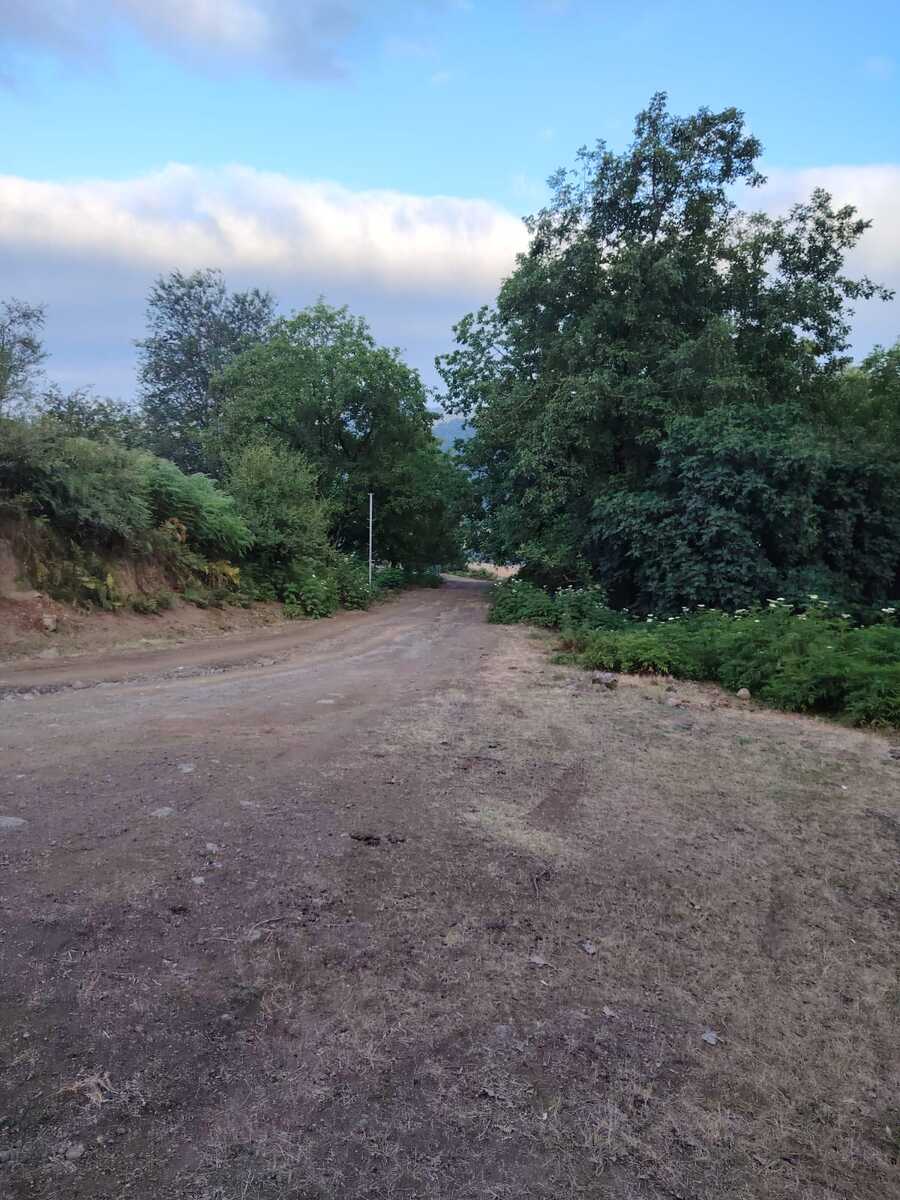Satılır torpaq 4 sot — Torpaq, Lerik (9)