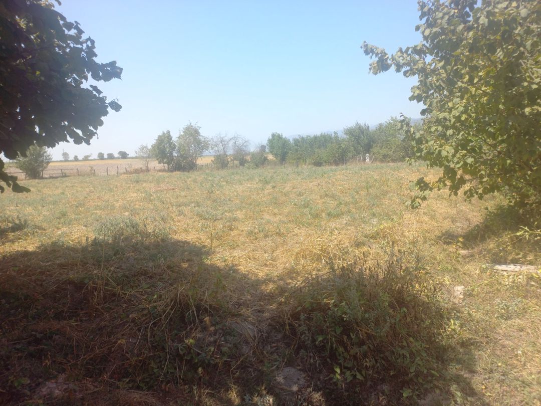 28 sot torpaq sahəsi, İsmayıllı r — Torpaq, İsmayıllı (3)