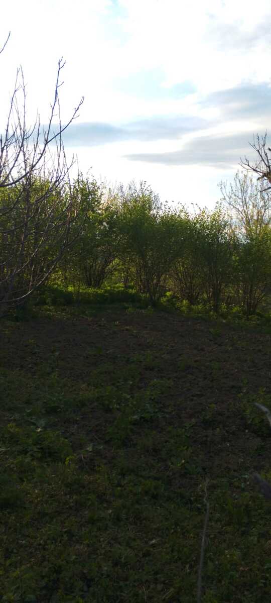 Həyət evi, Quba r — Ev, villa, Quba (6)
