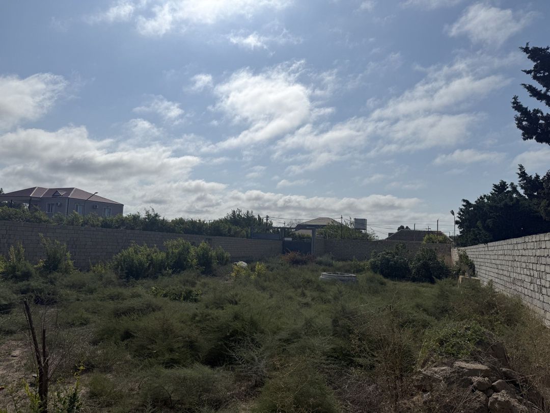 Satılır torpaq 11 sot — Torpaq, Bakı (8)
