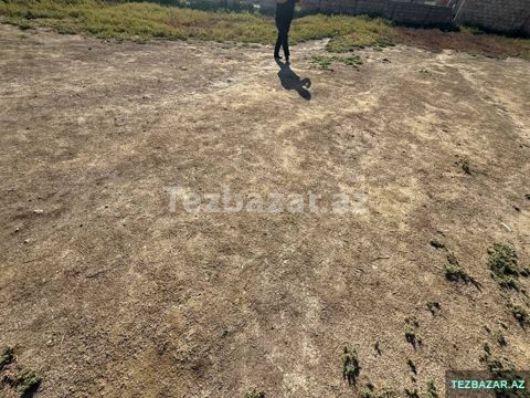 savalanda qcagan kafesinde torpaq satilir — Bakı