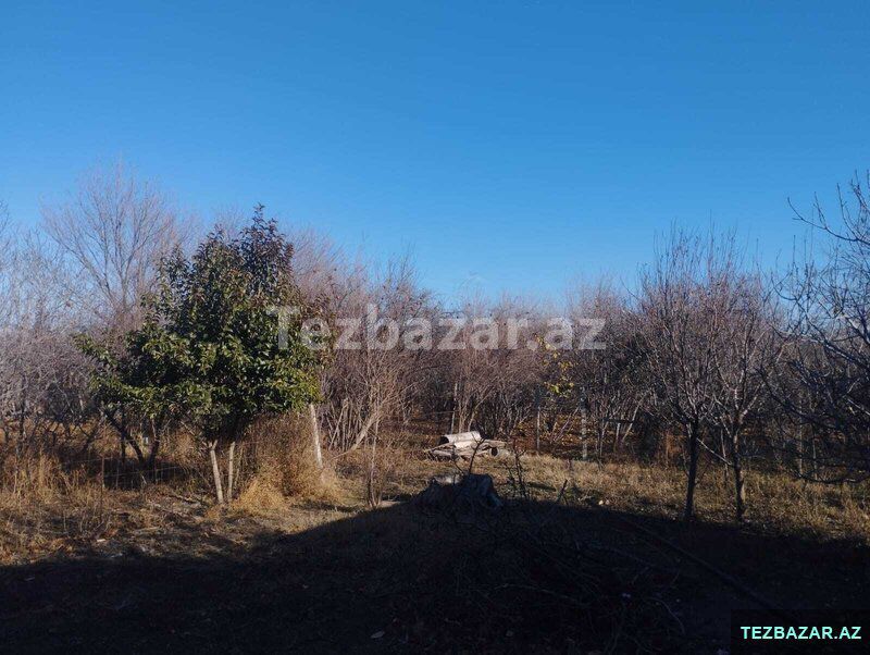Ğəncə şəh.yaxın25sotda h/evi satılır — Ev, villa, Bakı (5)
