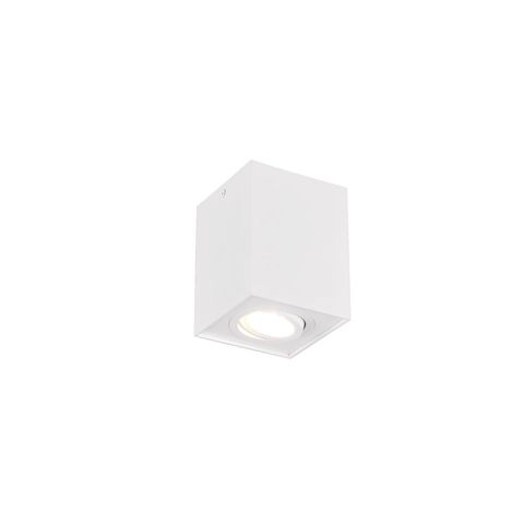 Tavan çırağı Trio 613000131, LED, 24 Vt, ağ — Bakı
